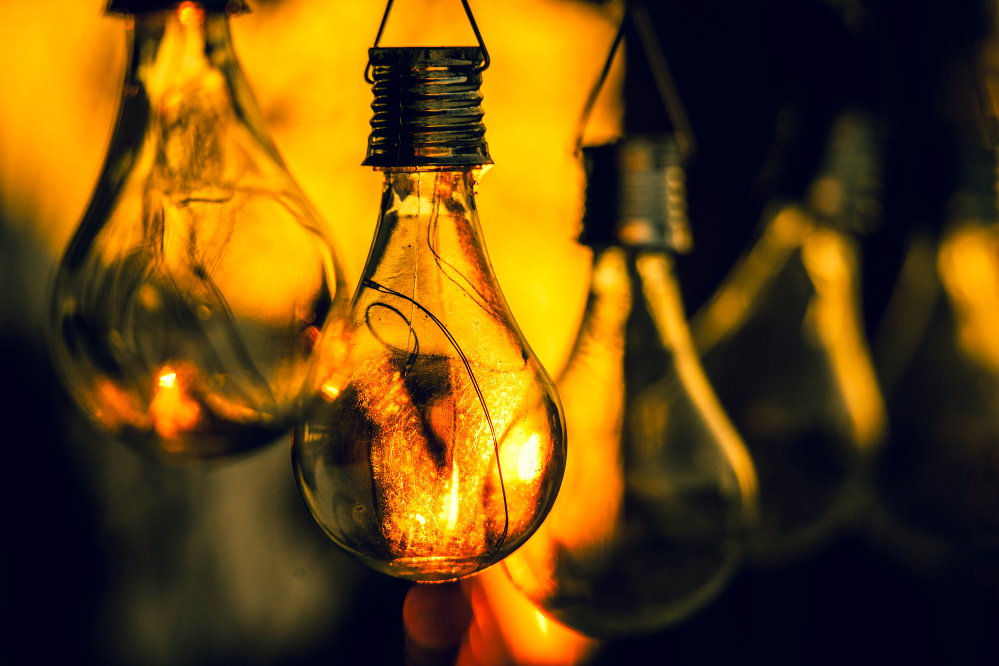 Lightbulbs by Roger Carlsen