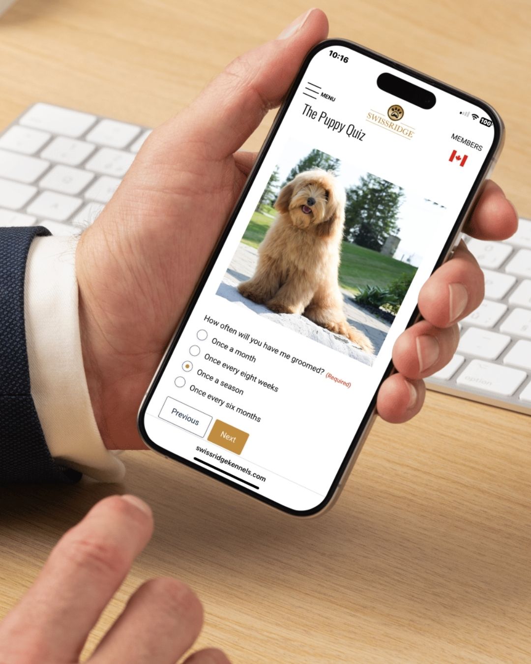 swissridge website - say what